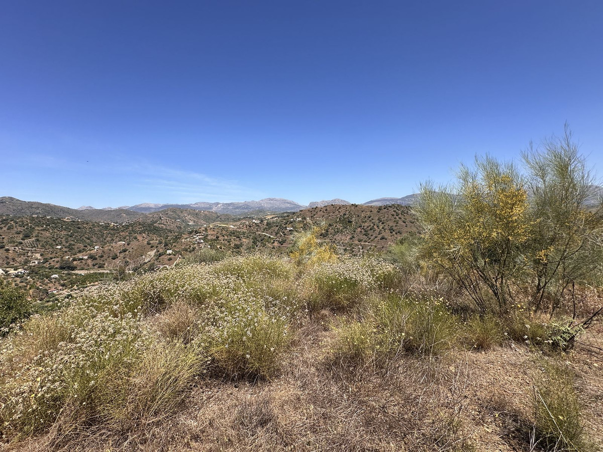 Property main view 20
