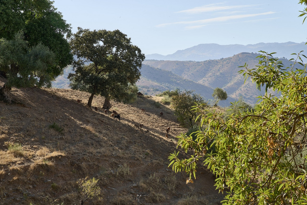 Property main view 25
