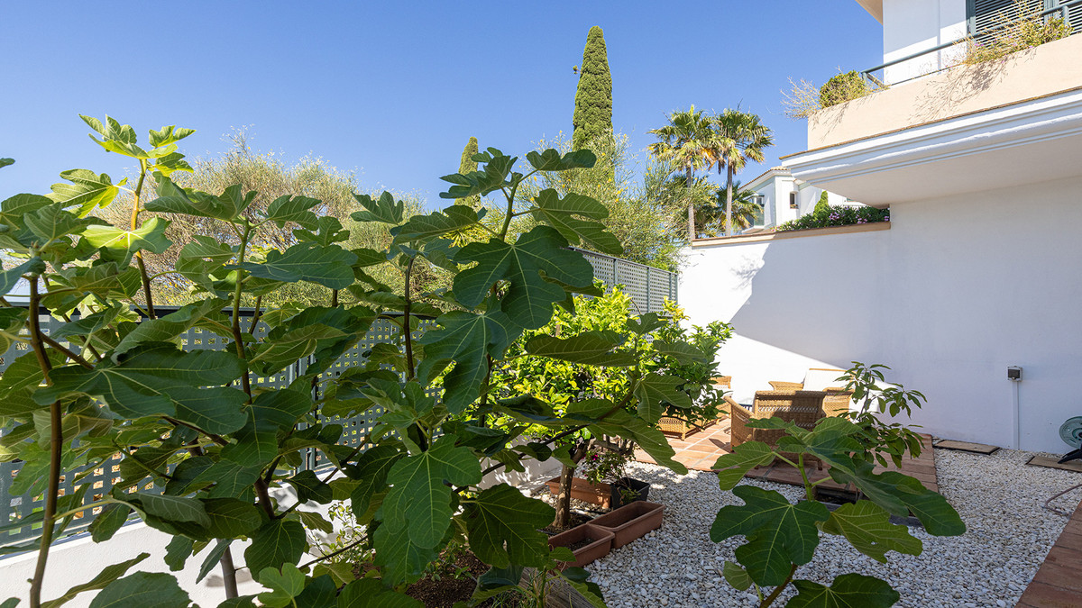 Property main view 41