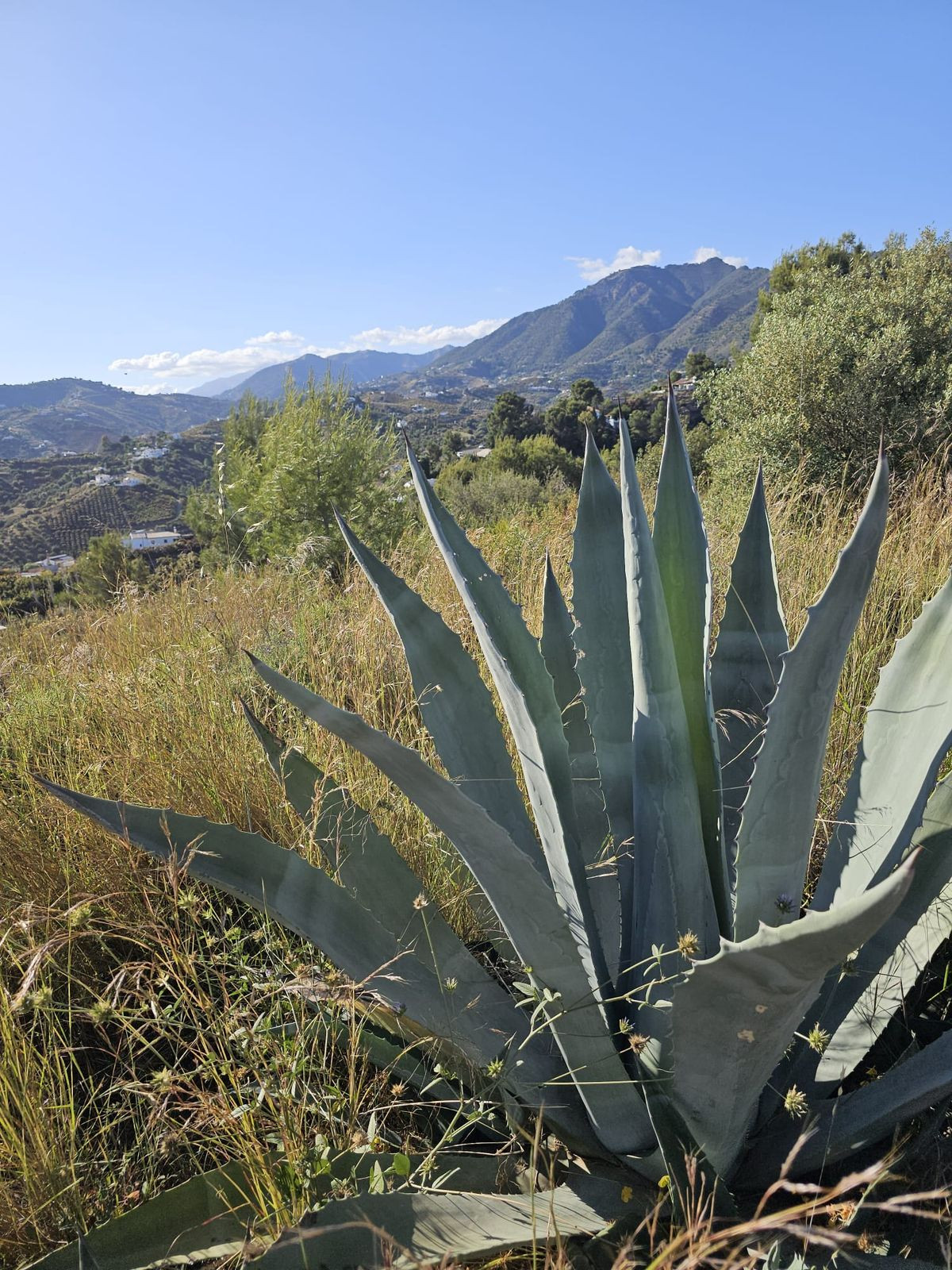 Grond te koop in Frigiliana | 0 slaapkamers H5401174