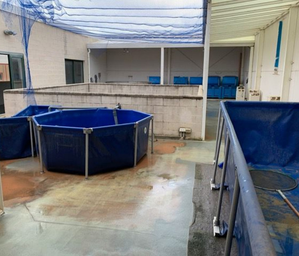 Property main view 8