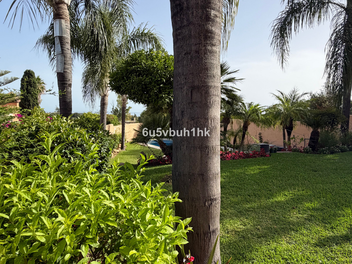 Property main view 11