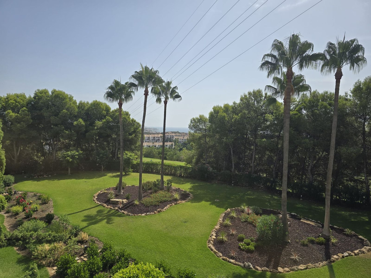 Property main view 16