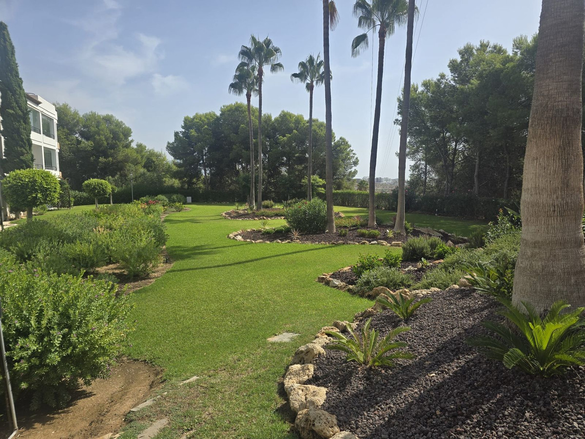 Property main view 2