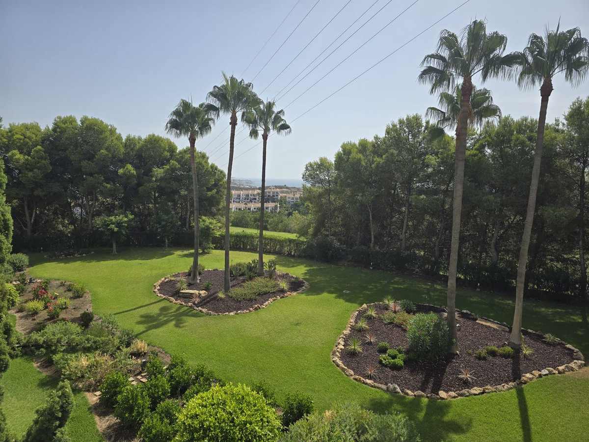 Property main view 22