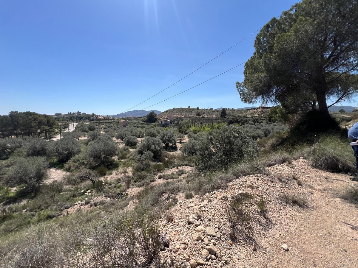 Property main view 2