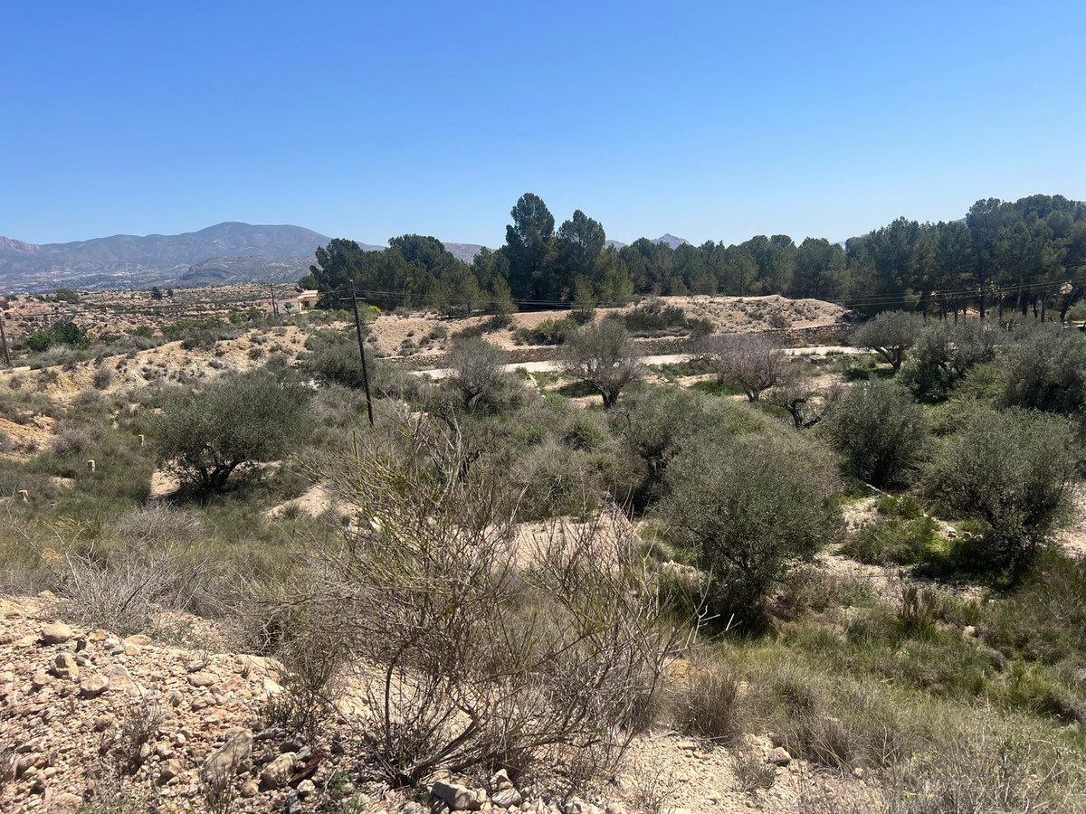 Property main view 6