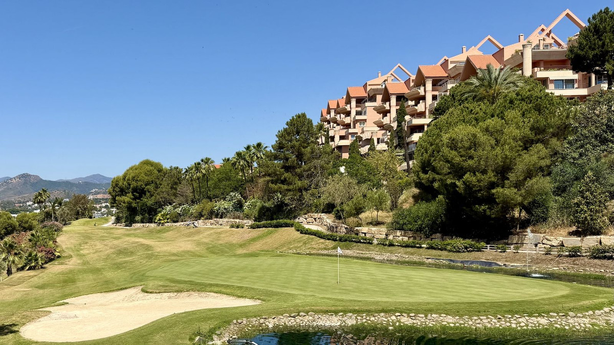 Commercieel te koop in Nueva Andalucía | 3 slaapkamers H5484340