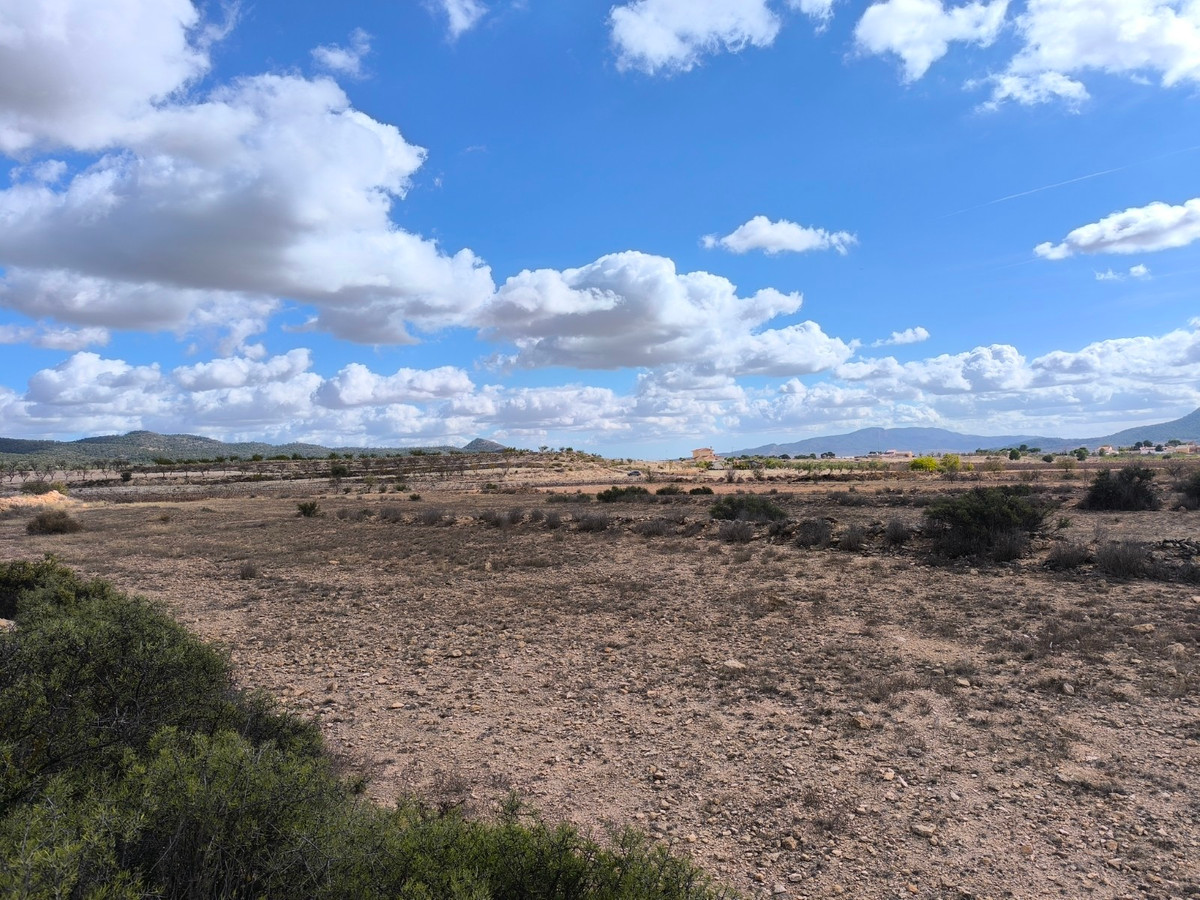 Grond te koop in Pinoso | 0 slaapkamers H5310358