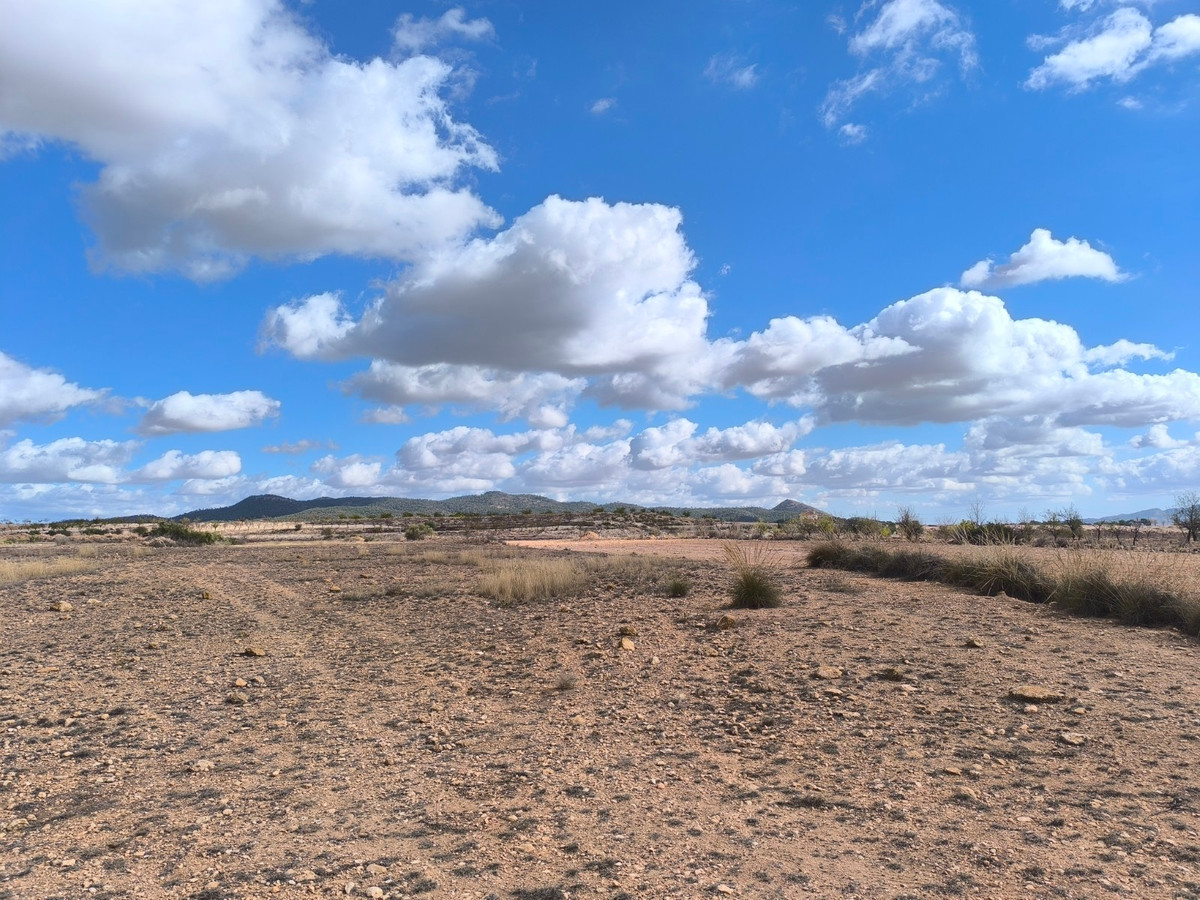 Grond te koop in Pinoso | 0 slaapkamers H5310358