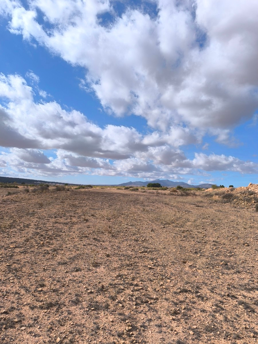 Grond te koop in Pinoso | 0 slaapkamers H5310358