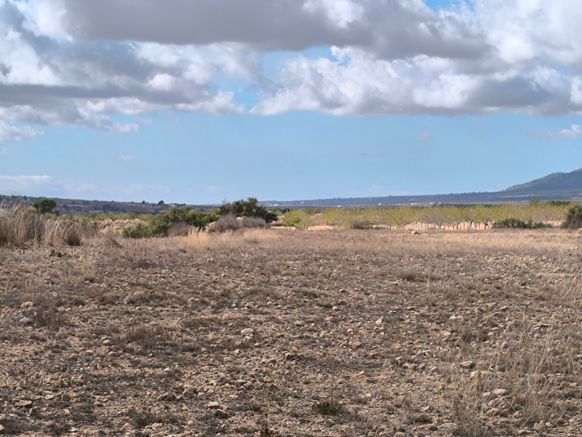 Grond te koop in Pinoso | 0 slaapkamers H5310358