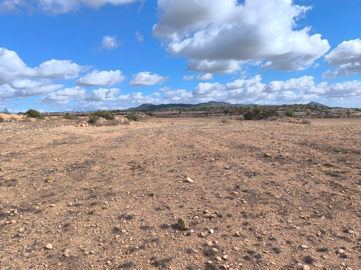 Grond te koop in Pinoso | 0 slaapkamers H5310358