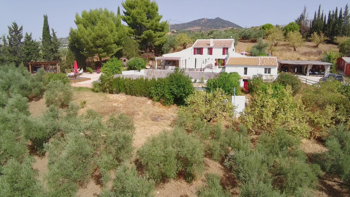 Property main view 2