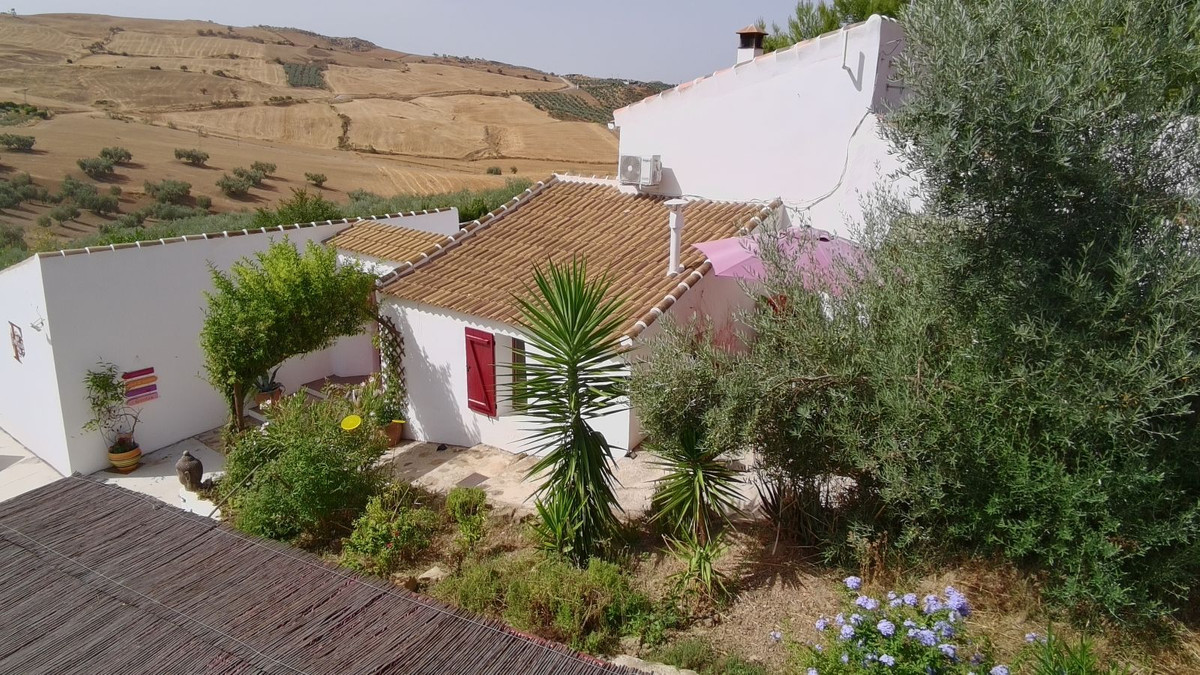 Property main view 31