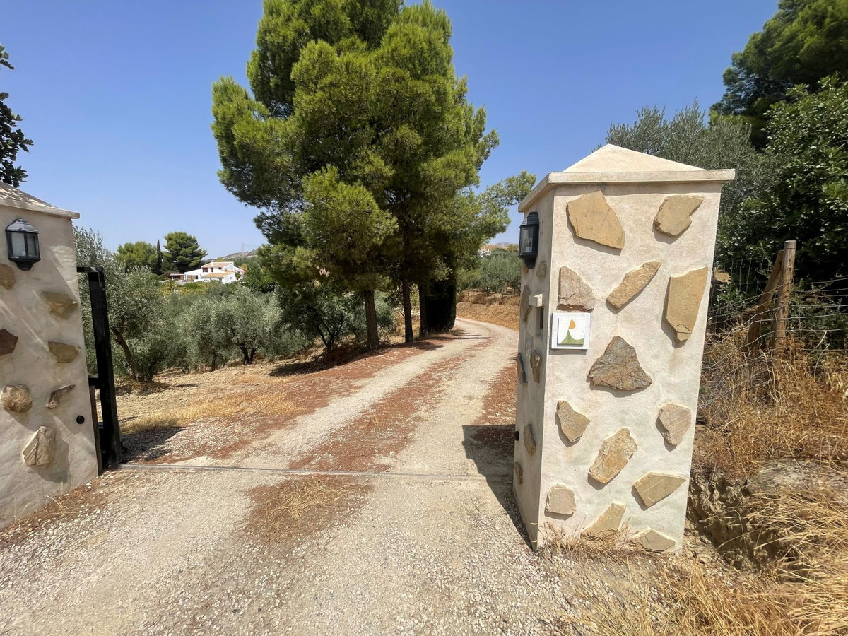 Property main view 46