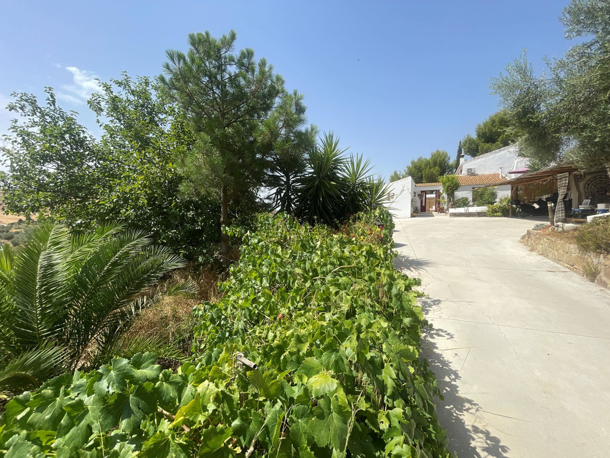 Property main view 50