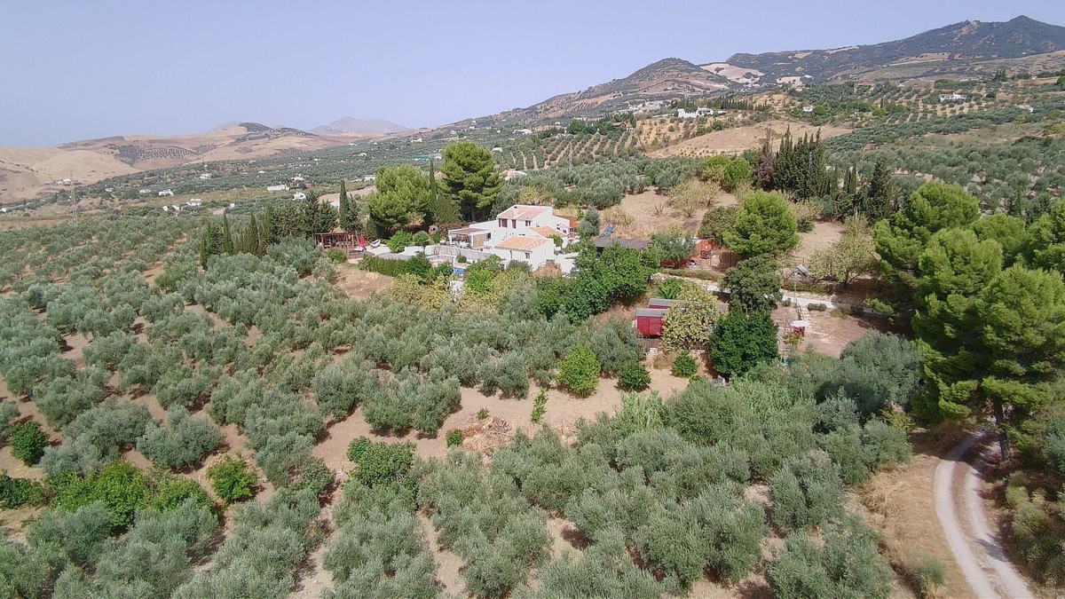 Property main view 51