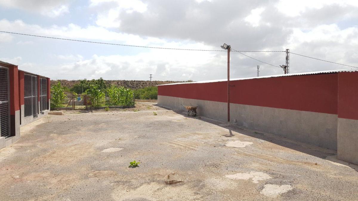 country house te koop in Los Montesinos | 2 slaapkamers H489184