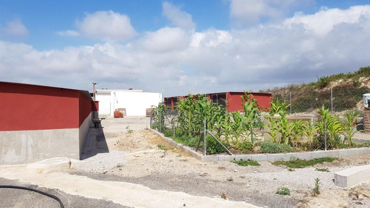 country house te koop in Los Montesinos | 2 slaapkamers H489184