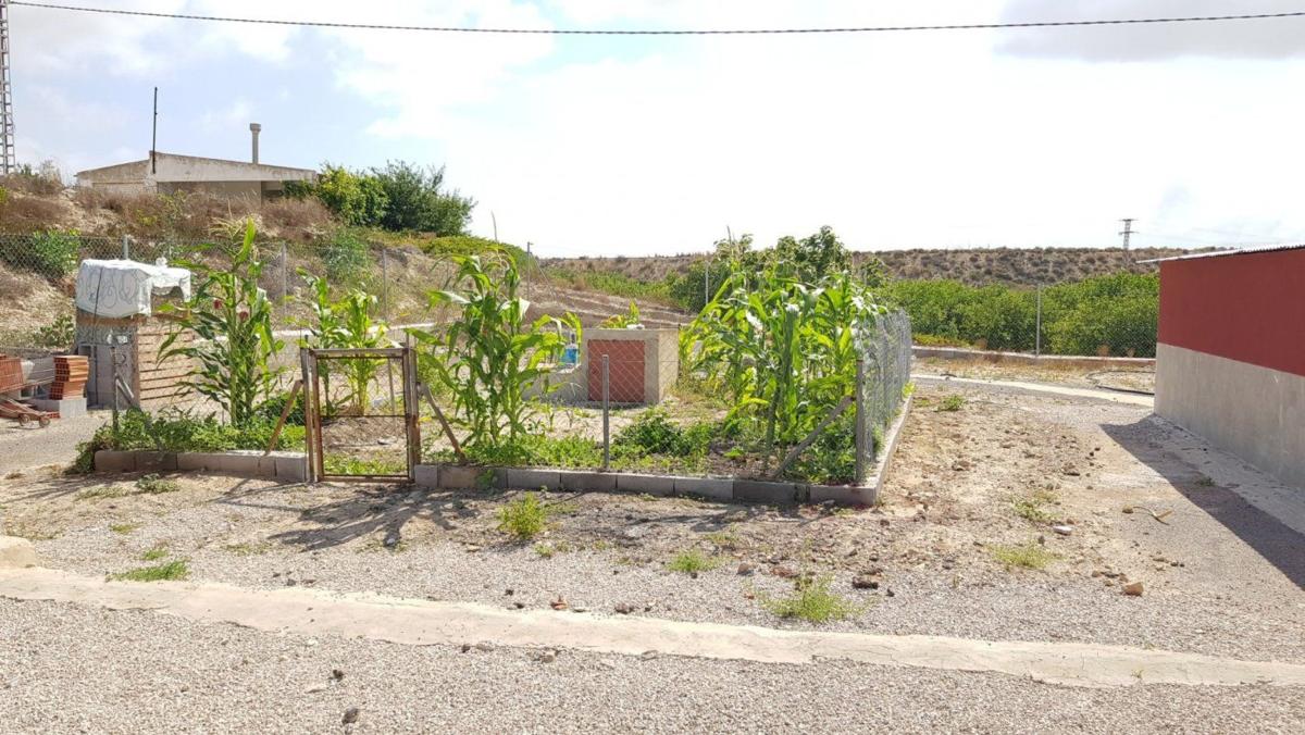 country house te koop in Los Montesinos | 2 slaapkamers H489184