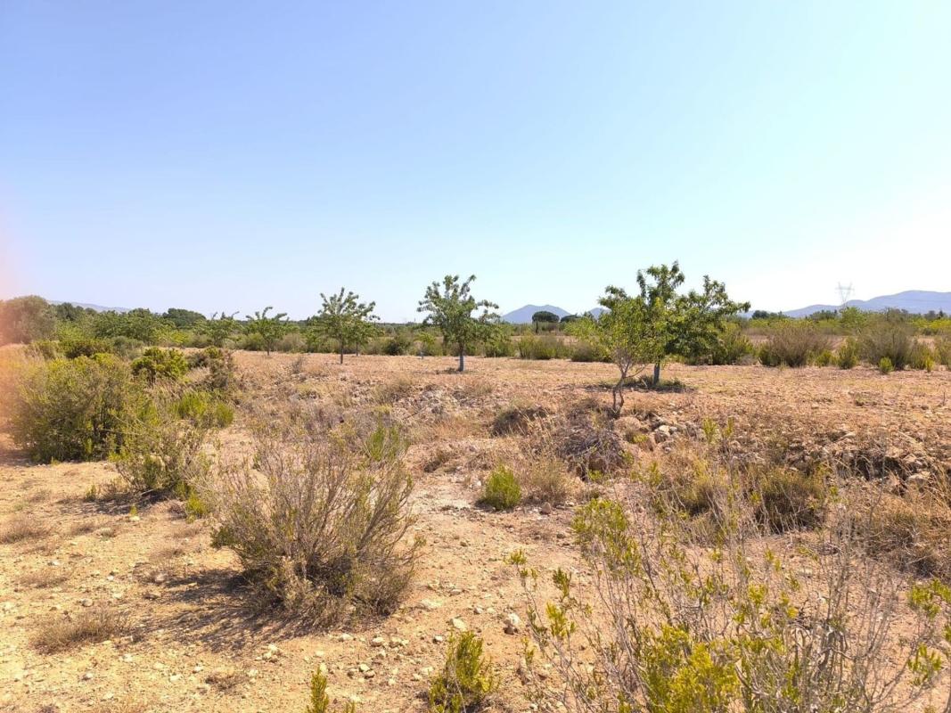 country house te koop in Villena | 6 slaapkamers H477906