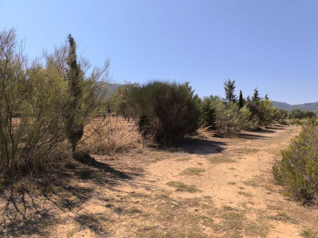 country house te koop in Villena | 6 slaapkamers H477906