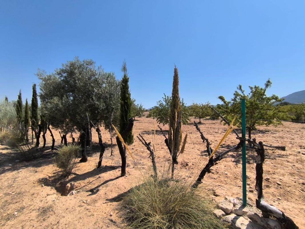 country house te koop in Villena | 6 slaapkamers H477906