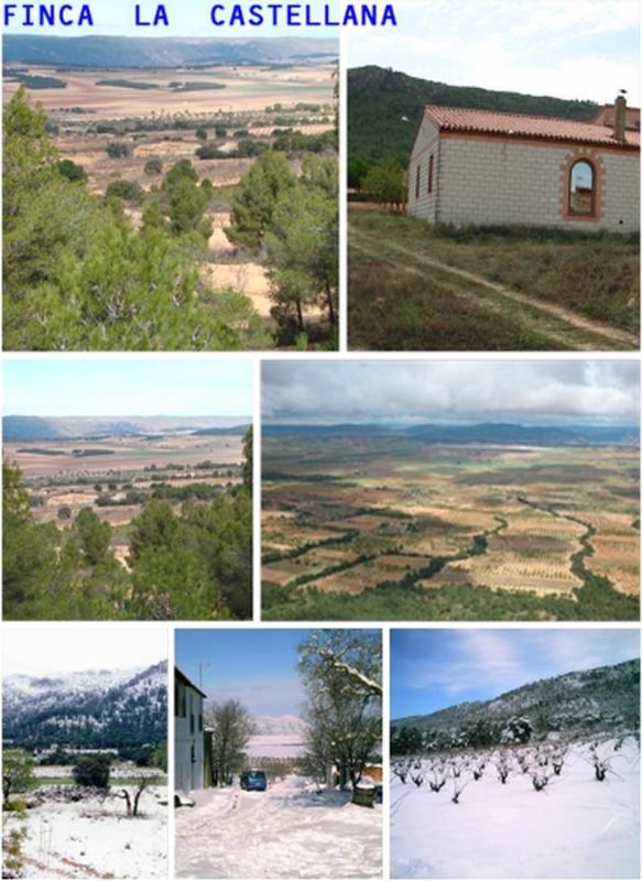 country house te koop in Villena | 10 slaapkamers H546515