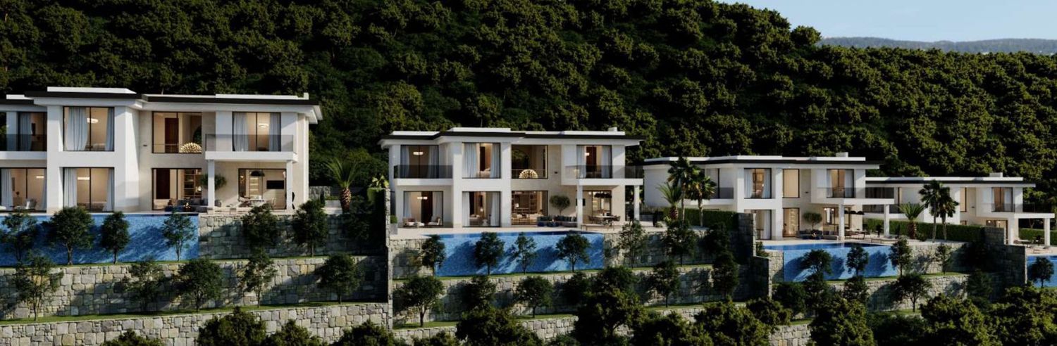 Property main view 2