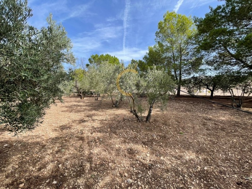 Property main view 36