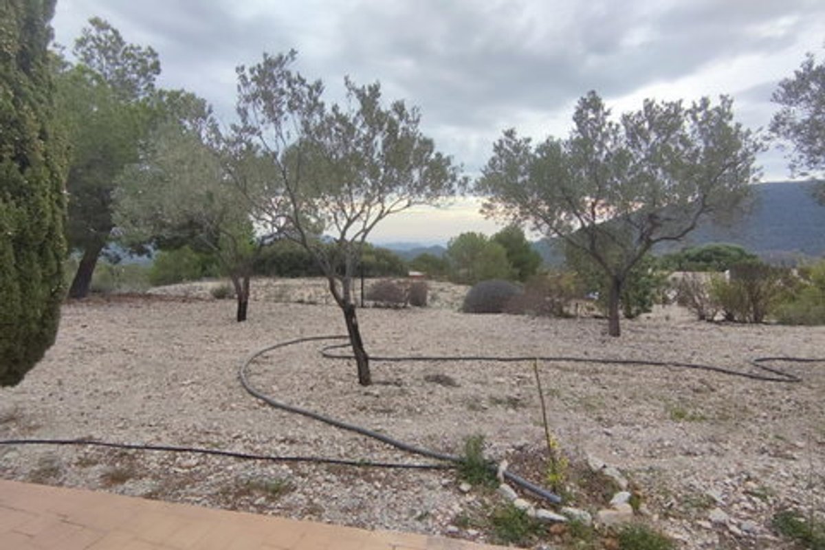 Property main view 12