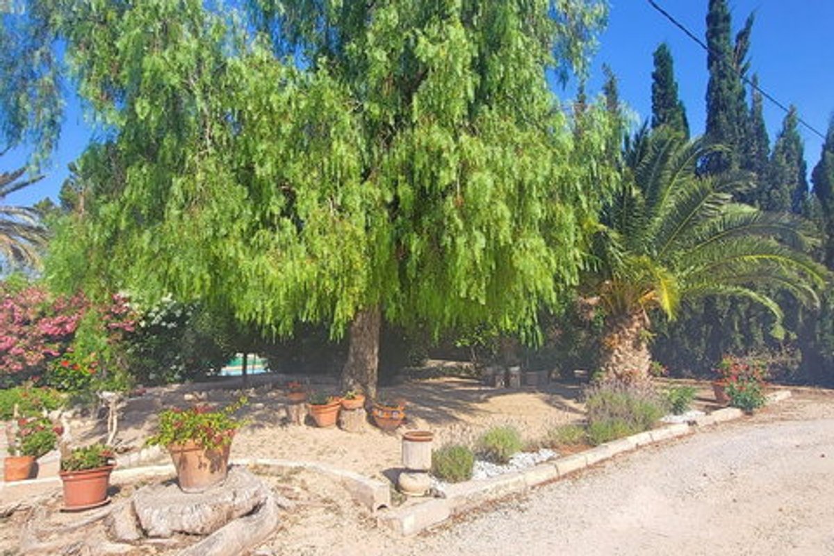 Property main view 18