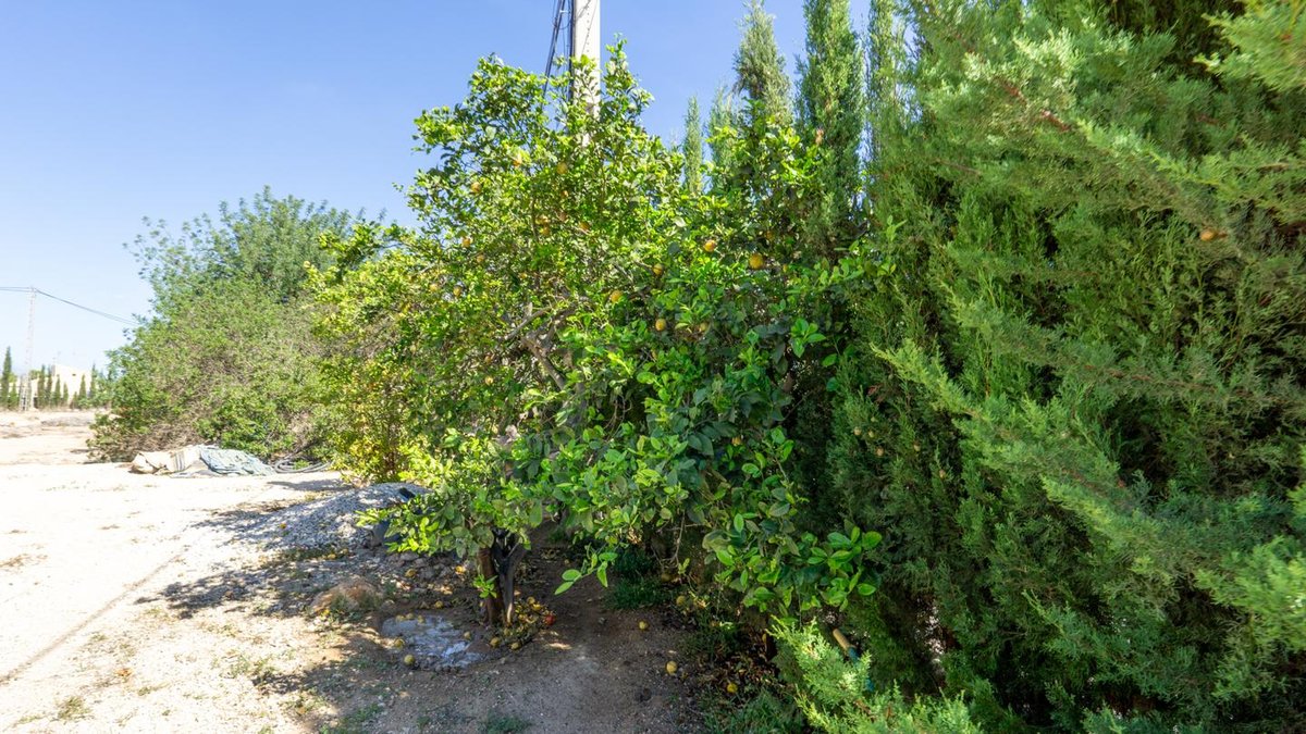 Property main view 6