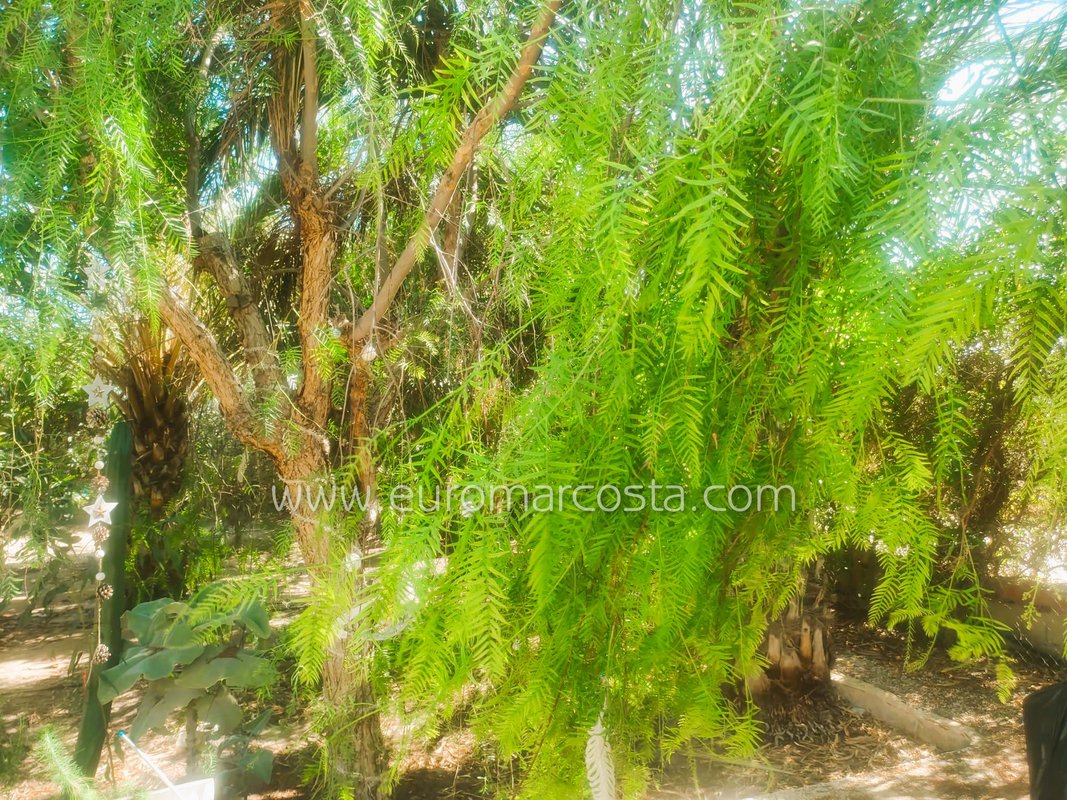 Property main view 35