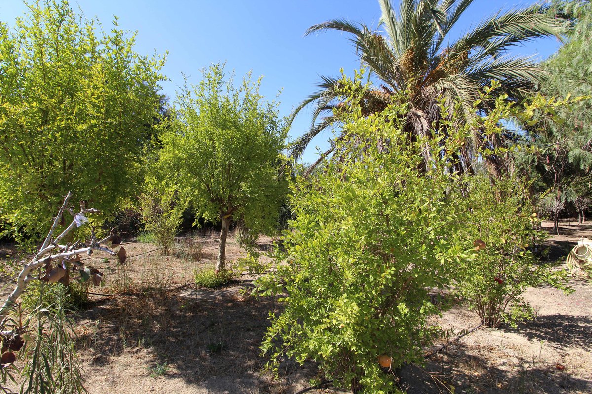 Property main view 29