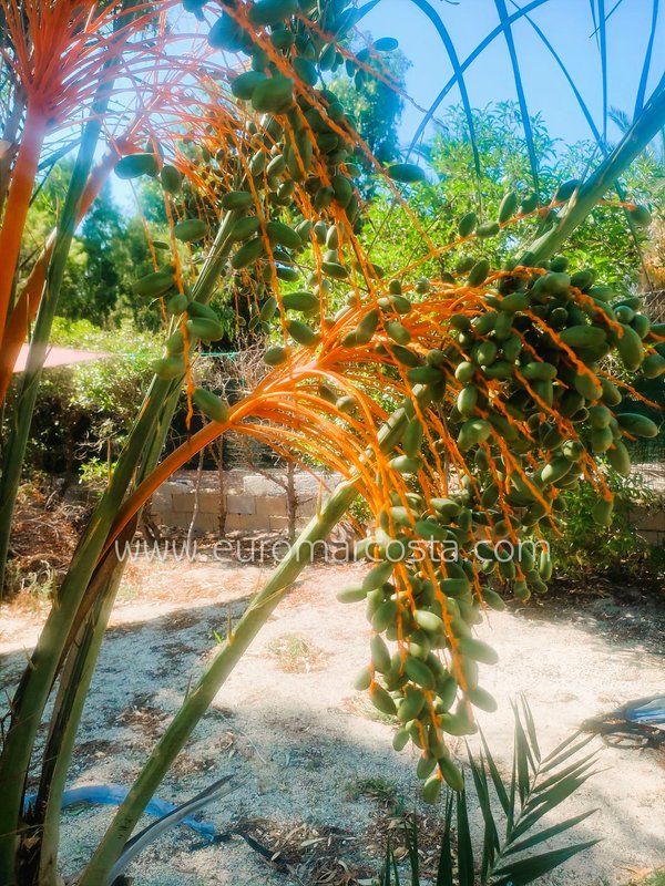 Property main view 34