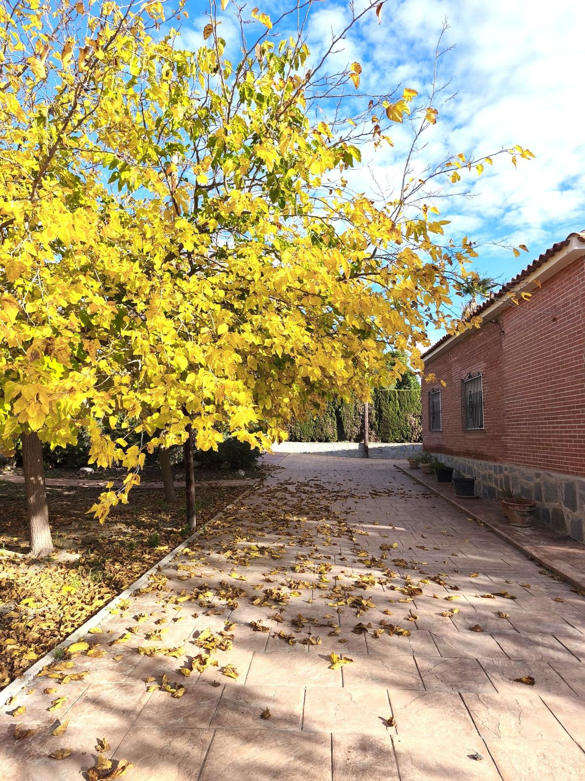 Property main view 17