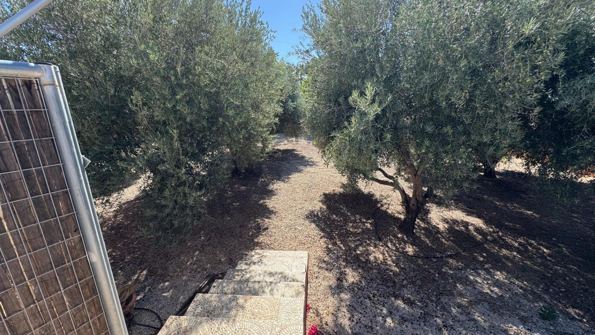 Property main view 24