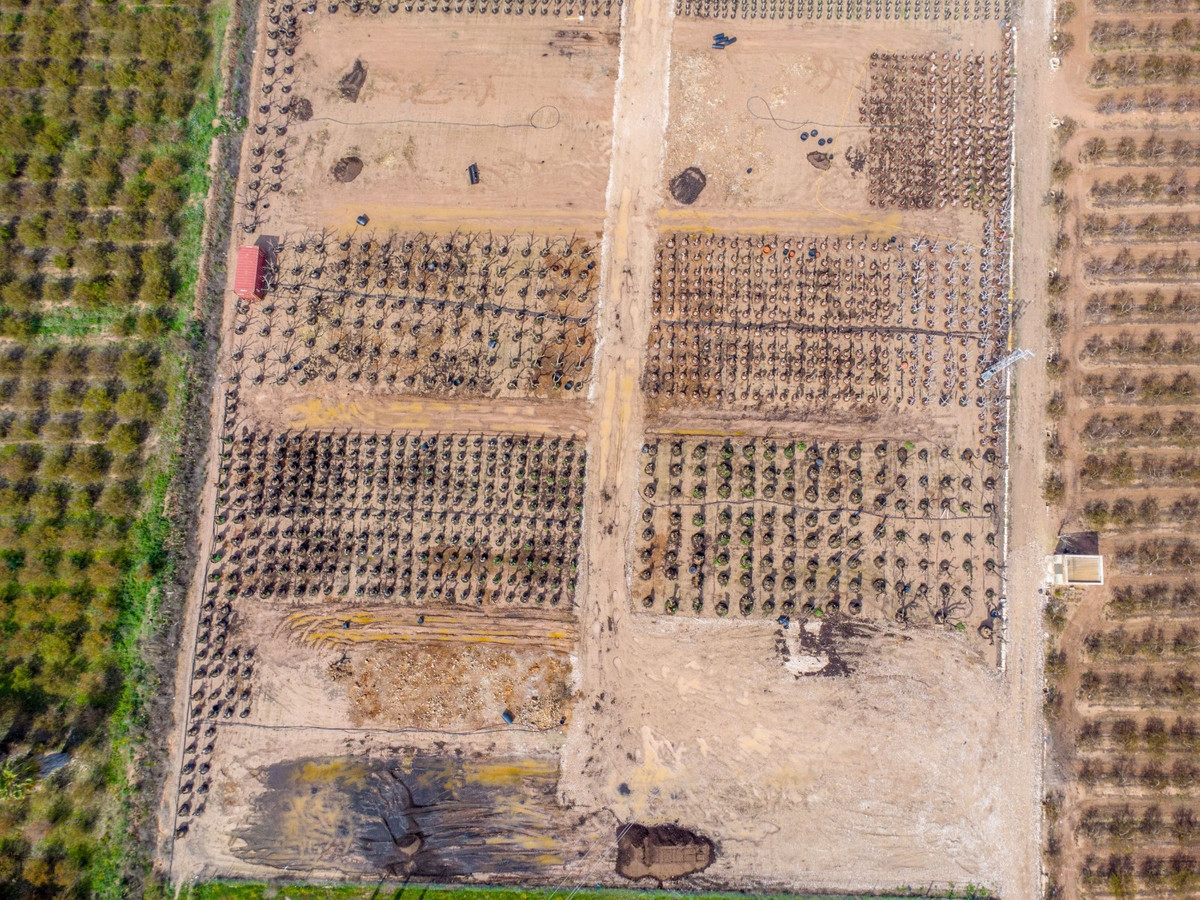 Property main view 49