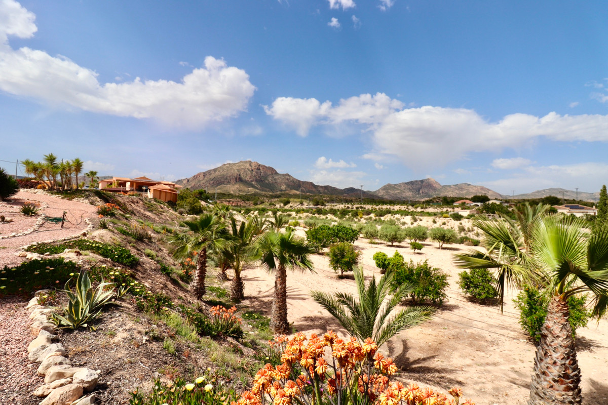 Property main view 44