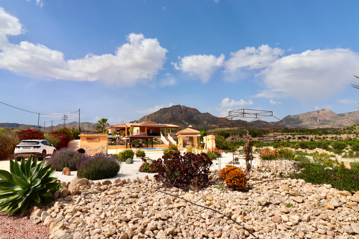 Property main view 49