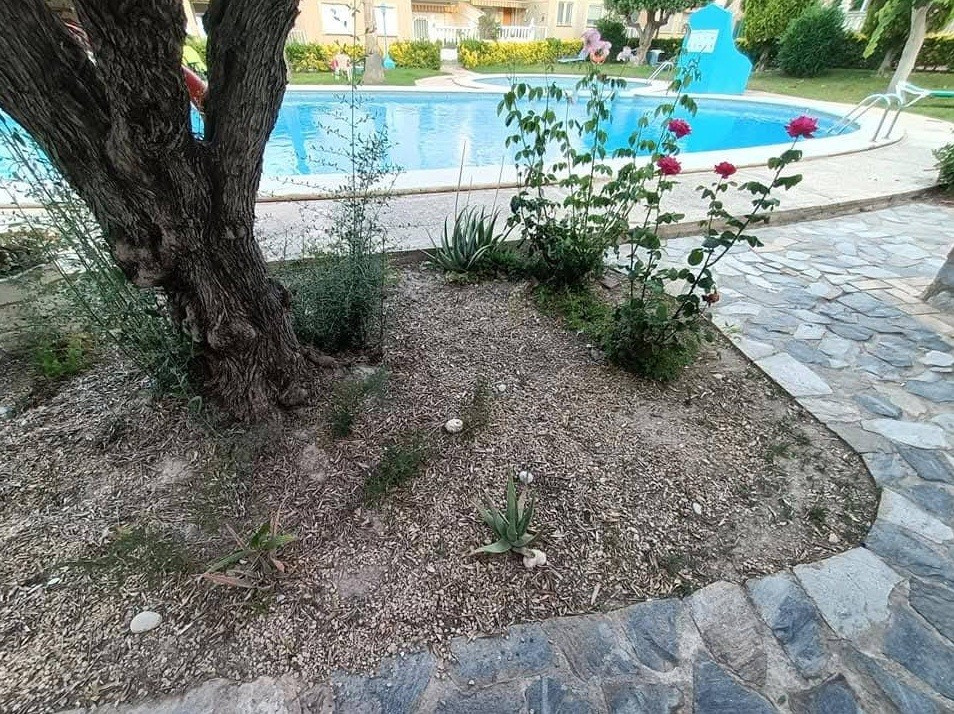 Property main view 11