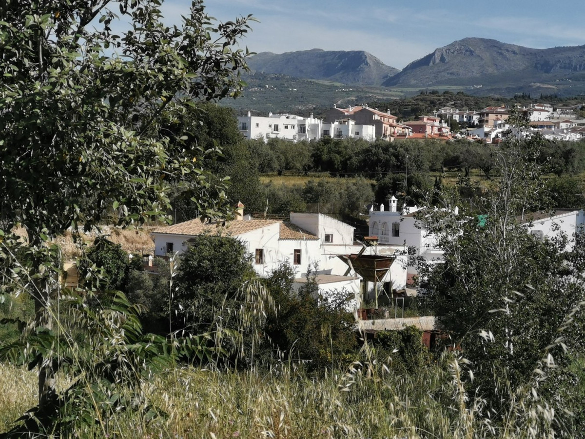 Finca - Cortijo in Alcaucín-1