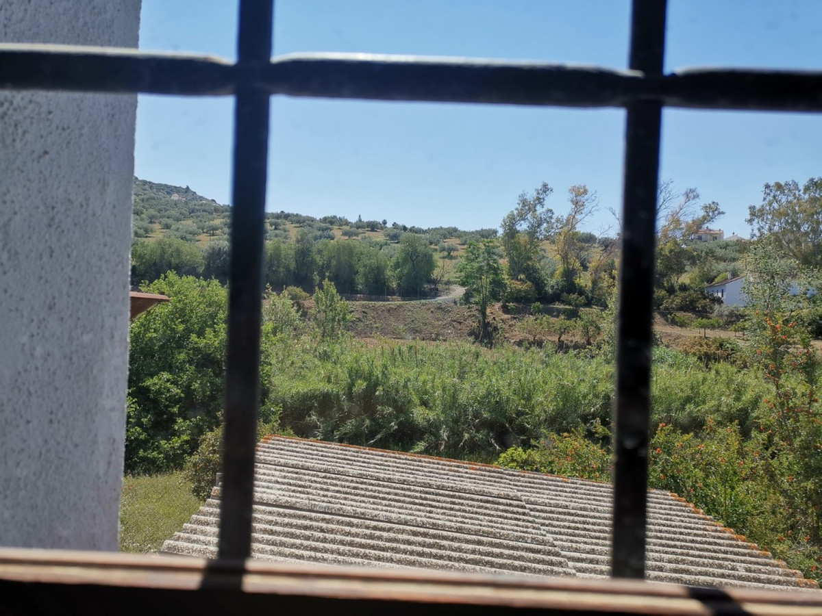 Finca - Cortijo in Alcaucín-14