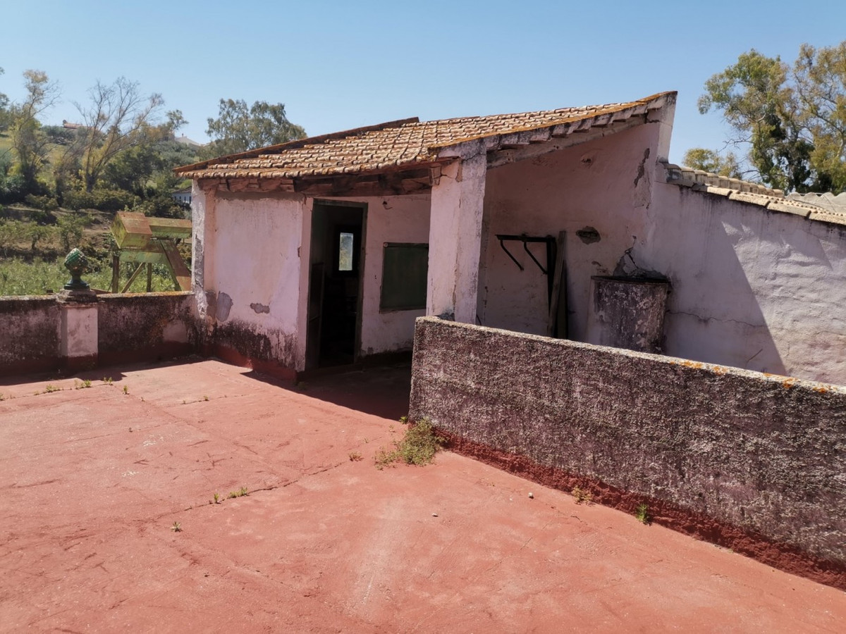 Finca - Cortijo in Alcaucín-22