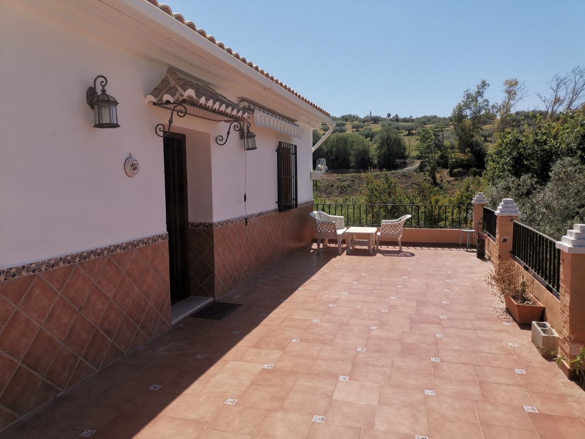 Finca - Cortijo in Alcaucín-5