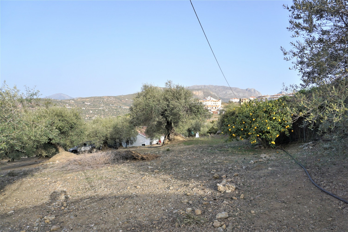 Finca - Cortijo in Alcaucín-10