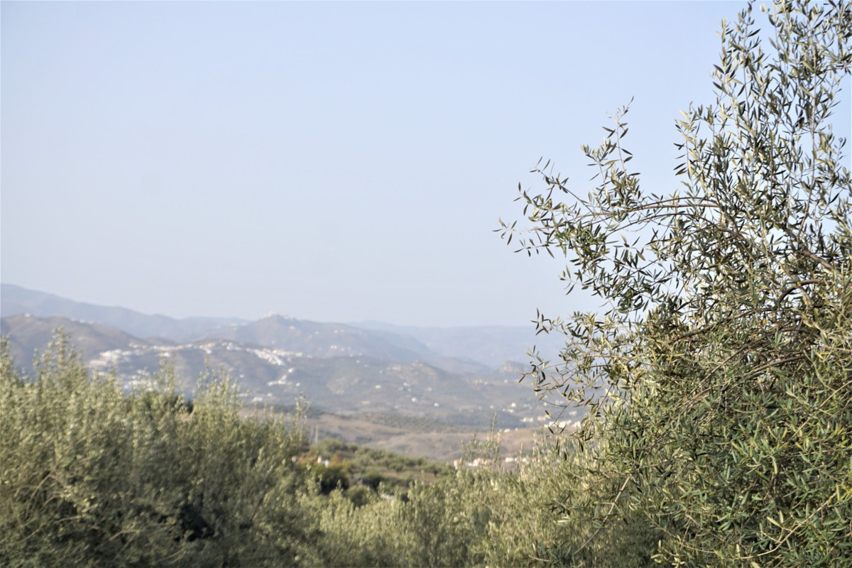 Finca - Cortijo in Alcaucín-12