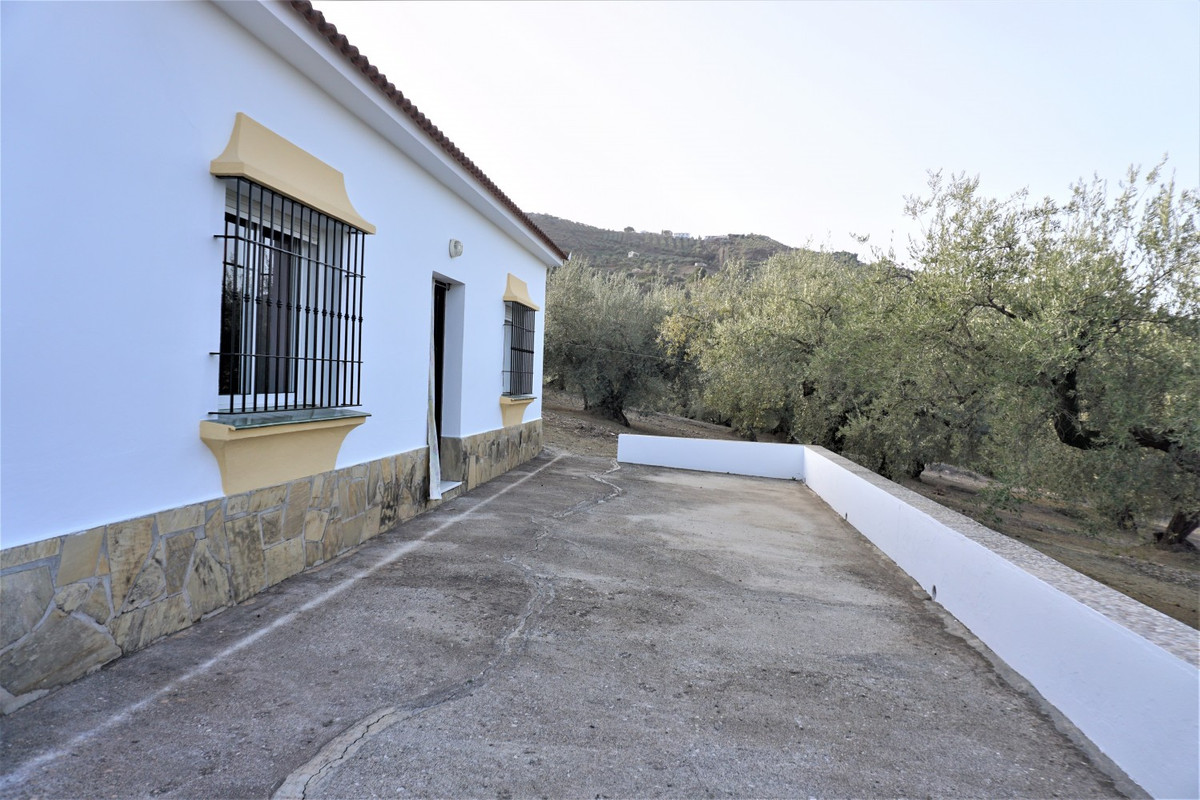 Finca - Cortijo in Alcaucín-3